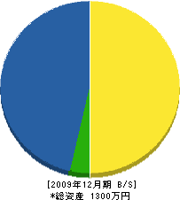 大和塗装店 貸借対照表 2009年12月期