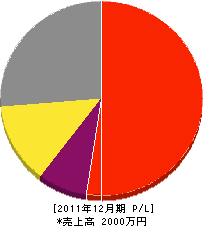 大島塗装店 損益計算書 2011年12月期