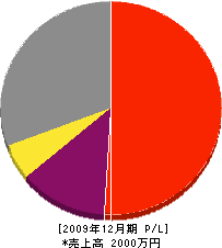 勝榮電設 損益計算書 2009年12月期