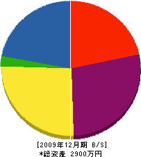 渡邉技研 貸借対照表 2009年12月期