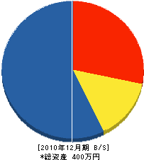 西山建設 貸借対照表 2010年12月期