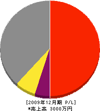 長谷川商店 損益計算書 2009年12月期