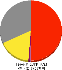 田村重機 損益計算書 2009年12月期