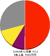 竹田技建 損益計算書 2009年12月期