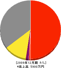 渡辺塗装 損益計算書 2009年12月期