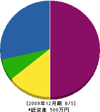 吉田電気商会 貸借対照表 2009年12月期