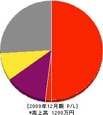 勢和設備 損益計算書 2009年12月期