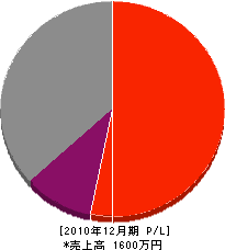 Ｓ・Ｏ・Ｃ 損益計算書 2010年12月期