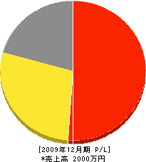 寺山造園 損益計算書 2009年12月期