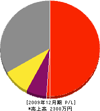 勝栄建設 損益計算書 2009年12月期