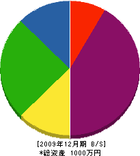 潮崎電気 貸借対照表 2009年12月期