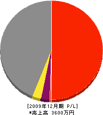 マサキ工業 損益計算書 2009年12月期