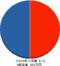 辻川看板塗装工芸 貸借対照表 2009年12月期