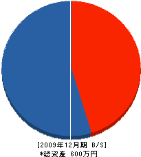 瀬川土木 貸借対照表 2009年12月期