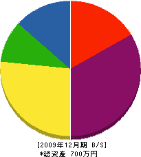 柳工業 貸借対照表 2009年12月期