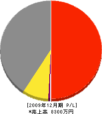中田土建 損益計算書 2009年12月期