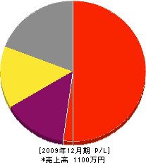 瀬戸浦電気 損益計算書 2009年12月期