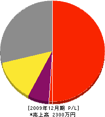 向陽建設 損益計算書 2009年12月期
