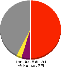 辻本建築 損益計算書 2010年12月期