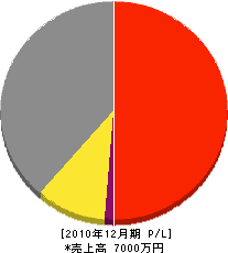 滝沢塗装 損益計算書 2010年12月期