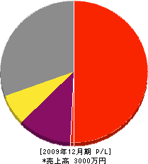 吉田塗装店 損益計算書 2009年12月期
