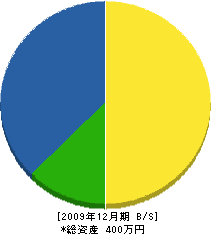 平組 貸借対照表 2009年12月期