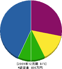 内田建設 貸借対照表 2009年12月期
