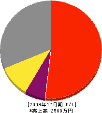 谷井電気商会 損益計算書 2009年12月期