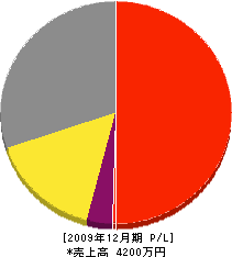 鈴木商店 損益計算書 2009年12月期
