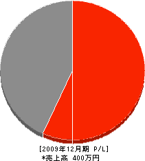 塚本ボーリング 損益計算書 2009年12月期