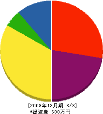 山組 貸借対照表 2009年12月期
