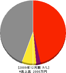 北谷ペイント 損益計算書 2009年12月期