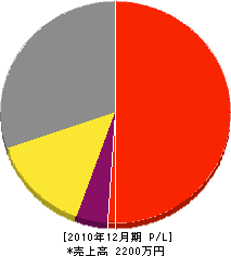 大島塗装店 損益計算書 2010年12月期