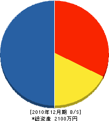 和田組 貸借対照表 2010年12月期