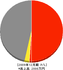 入江建築 損益計算書 2009年12月期