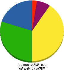 稲富設備 貸借対照表 2010年12月期