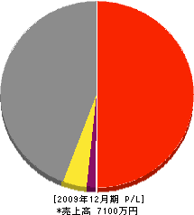 澤村工業 損益計算書 2009年12月期