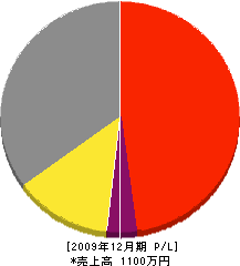 インテリア・システム工房 損益計算書 2009年12月期