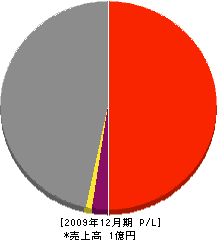 丸欣工業 損益計算書 2009年12月期