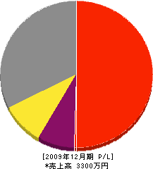 ハシモト塗装 損益計算書 2009年12月期