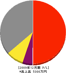 田村塗装店 損益計算書 2009年12月期