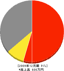 鮫島組 損益計算書 2009年12月期