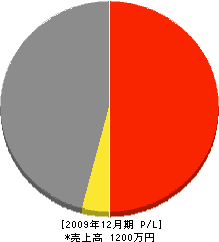 中村設備工業 損益計算書 2009年12月期