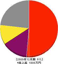 関組 損益計算書 2009年12月期