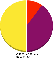 木村建設 貸借対照表 2010年12月期