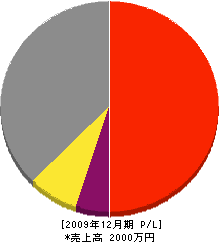 ライフシステムエコ 損益計算書 2009年12月期