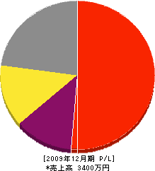 丸田板金工業所 損益計算書 2009年12月期