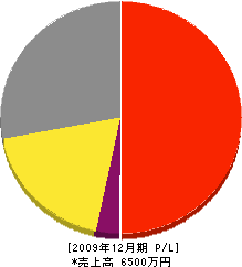 丸芳工業 損益計算書 2009年12月期