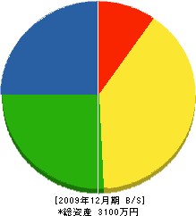 西牟田造園 貸借対照表 2009年12月期