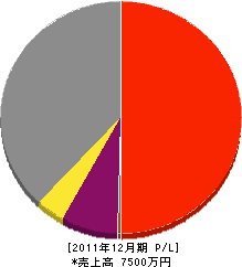 澤村工業 損益計算書 2011年12月期